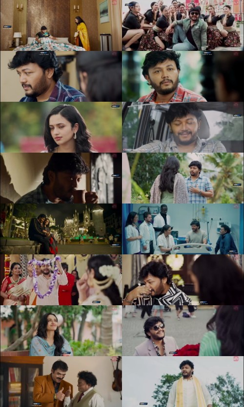 Krishnam.Pranaya.Sakhi.2024.WEBRip.HIN.DUB.4RABET_s.jpg