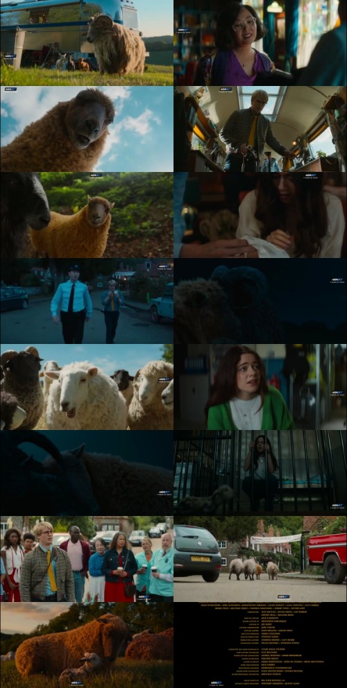 The.Sheep.Detectives.2026.WEBRip.HIN.DUB.4RABET_s.jpg