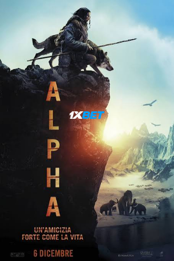 processed_ALPHA08cb103fb07b87c5.jpg