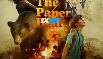 processed_THE-PAPER-BEAR08684c8a3e6f21e7.jpg