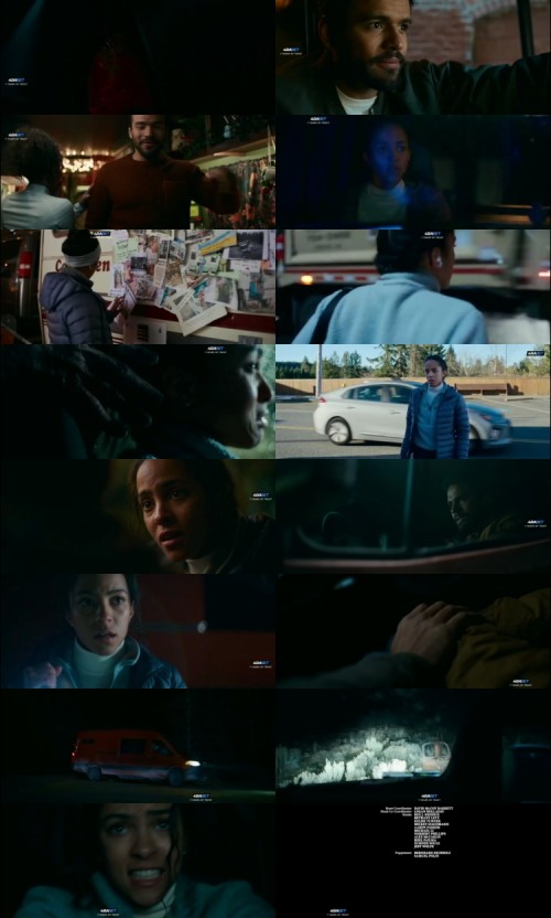 Passenger.2026.WEBRip.HIN.DUB.4RABET_s.jpg
