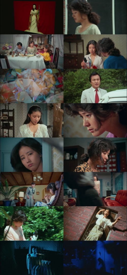 Suddenly.in.the.Dark.1981.1080p.BluRay.Hindi.English.DD5.1.x264.ESubs_s.jpg