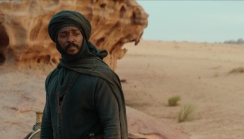 Desert Warrior scene