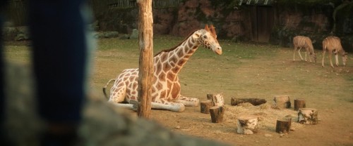 Kat-2026-08-06-01h39m18s488.jpg