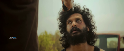 vlcsnap 2026 08 08 17h37m07s704