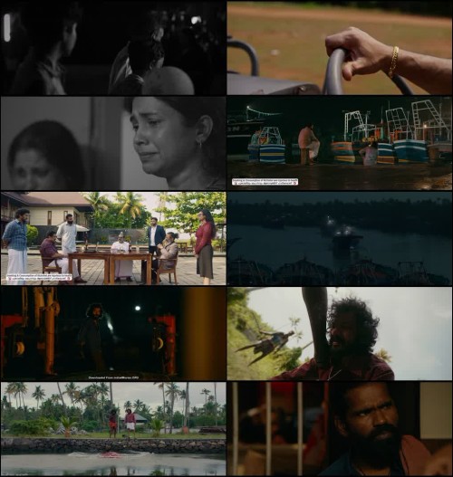 Moviesdrives---Pongala-2026.jpg
