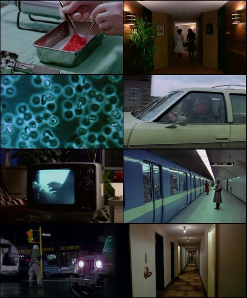 Moviesdrives---Rabid-1977.jpg