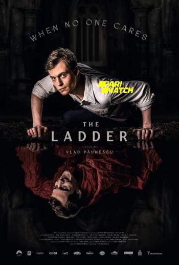 processed_THE-LADDER484844fbc54d9e55.jpg