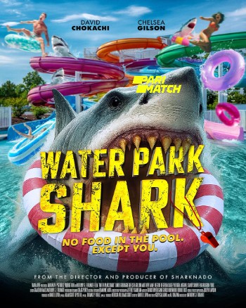 processed_WATER-PARK-SHARK97e393c9f425dde0.jpg