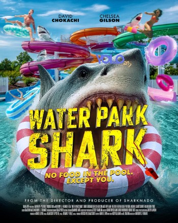 processed_WATER-PARK-SHARKe88731bdfb2ac86a.jpg