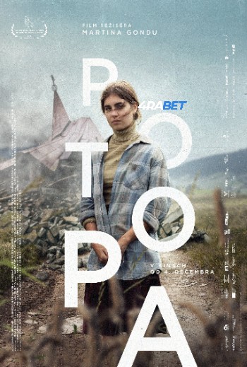 processed_POTOPA26b357804065aac2.jpg