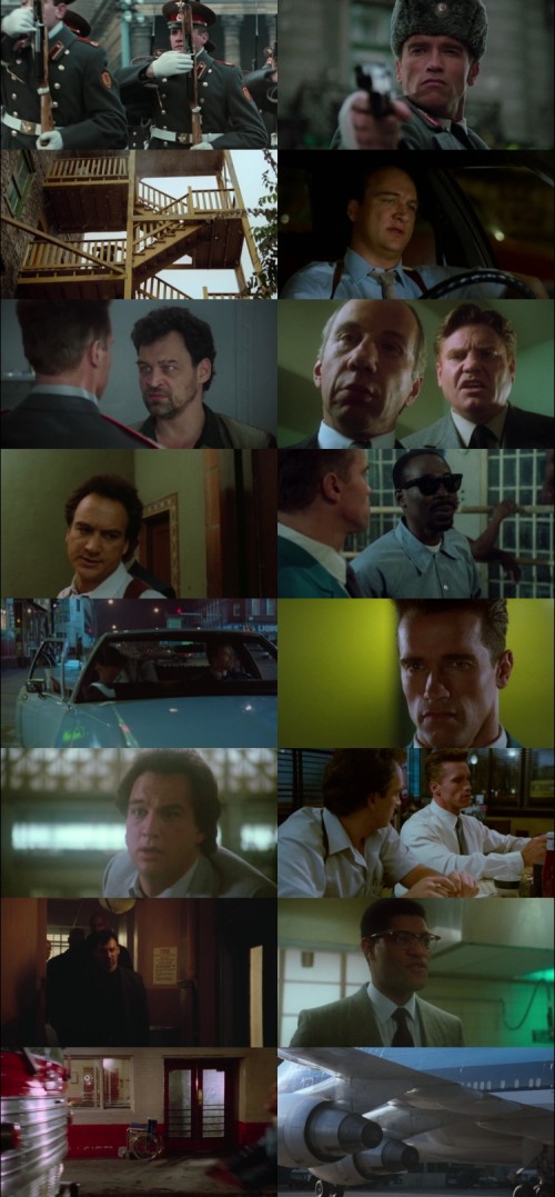 Red.Heat.1988.1080p.BluRay.Hindi.English.DD2.0.x264.ESubs_s.jpg