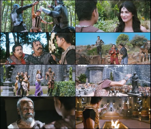 Puli-2015.jpg